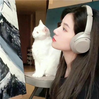 杀手妻子的保镖